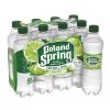 LIME SPARKING WATER POLAND SPRING